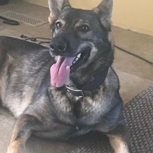 Meet your Posher, Murray